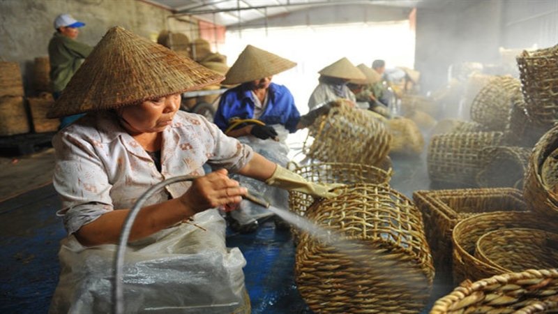 understanding water hyacinth handicrafts