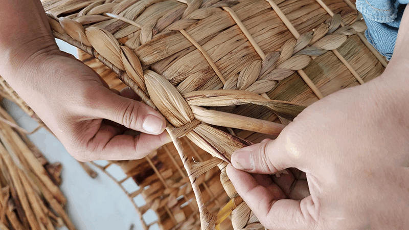 water hyacinth into fiber for handicrafts