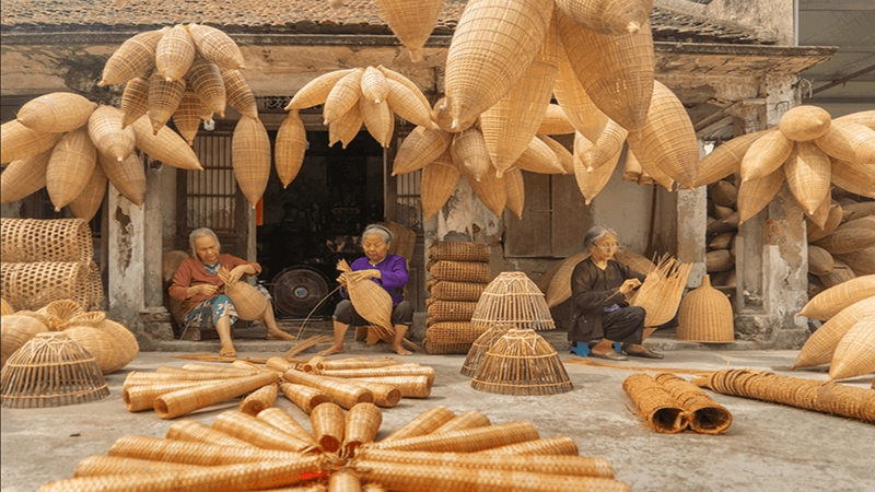 difference between rattan and bamboo