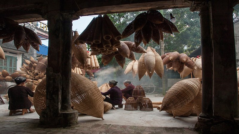 ideal uses for bamboo vs. rattan